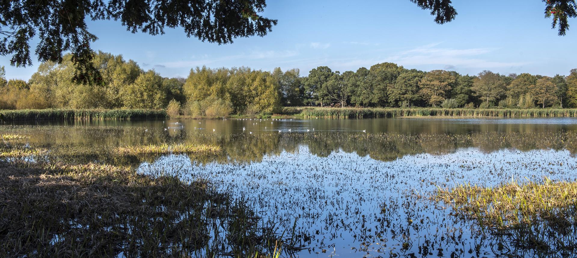 Water and biodiversity. 