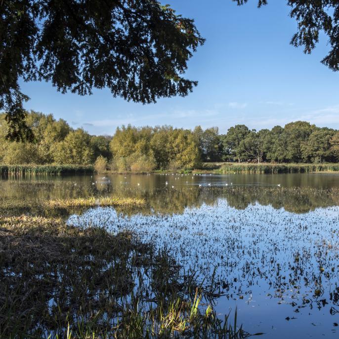 Water and biodiversity. 